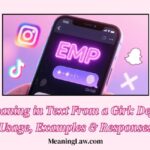 EMP Meaning in Text From a Girl
