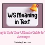 WS Meaning in Text