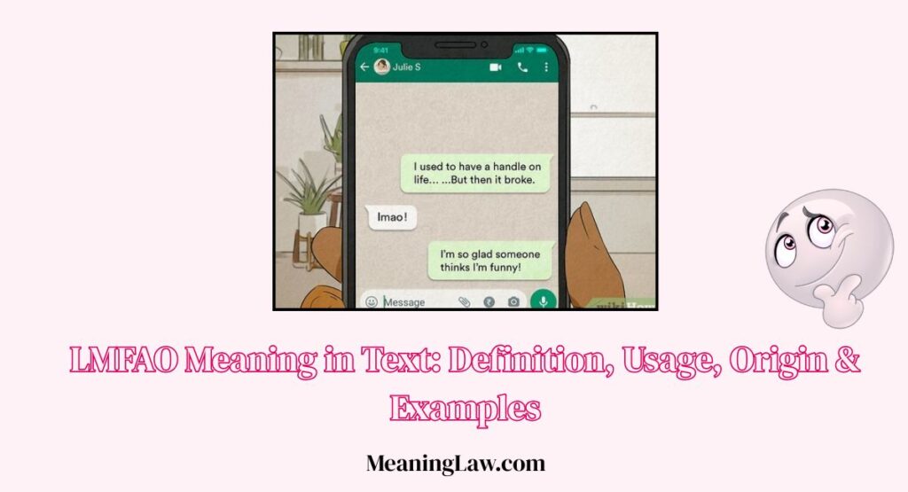 LMFAO Meaning in Text