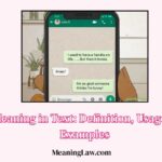 LMFAO Meaning in Text