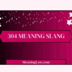 304 Meaning Slang
