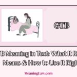 GTB Meaning in Text