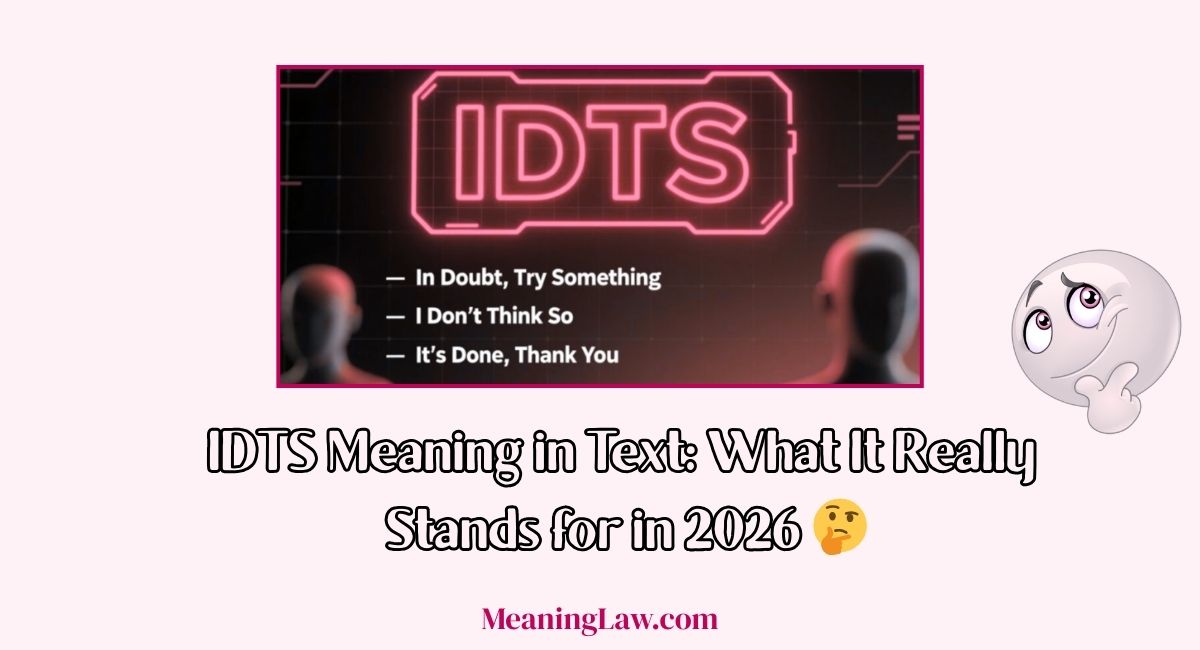 IDTS Meaning in Text