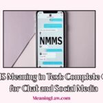 NMMS Meaning in Text