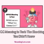 WYGG meaning in text