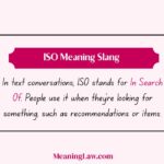 ISO Meaning Slang