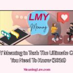 LMY Meaning in Text