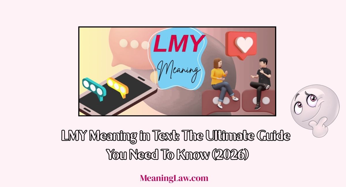 LMY Meaning in Text