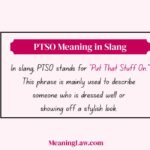 PTSO Meaning in Slang