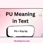 PU Meaning in Text