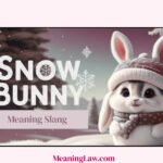 Snowbunny Meaning Slang