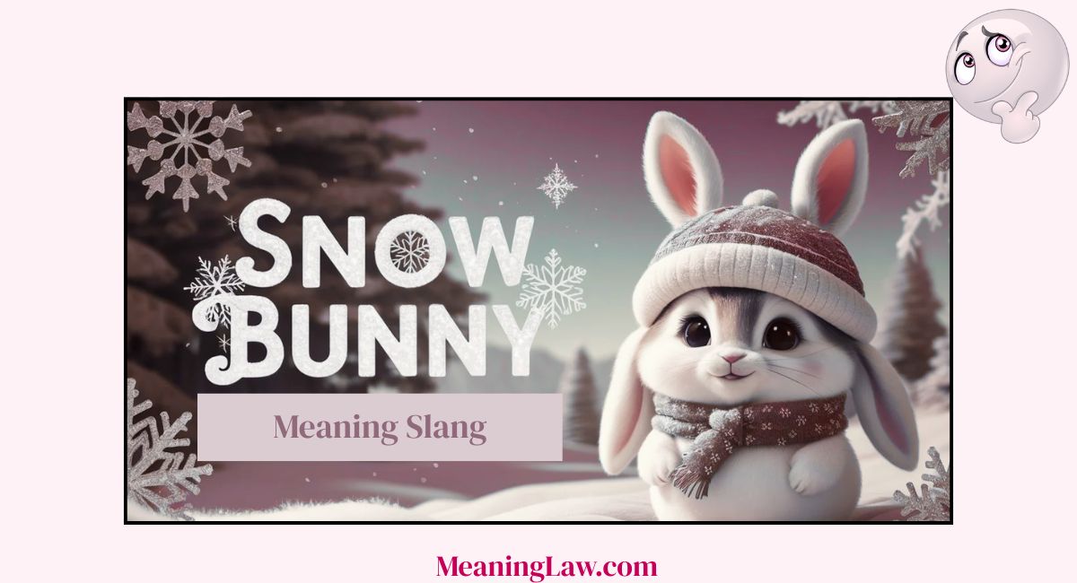 Snowbunny Meaning Slang