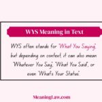 WYS Meaning in Text