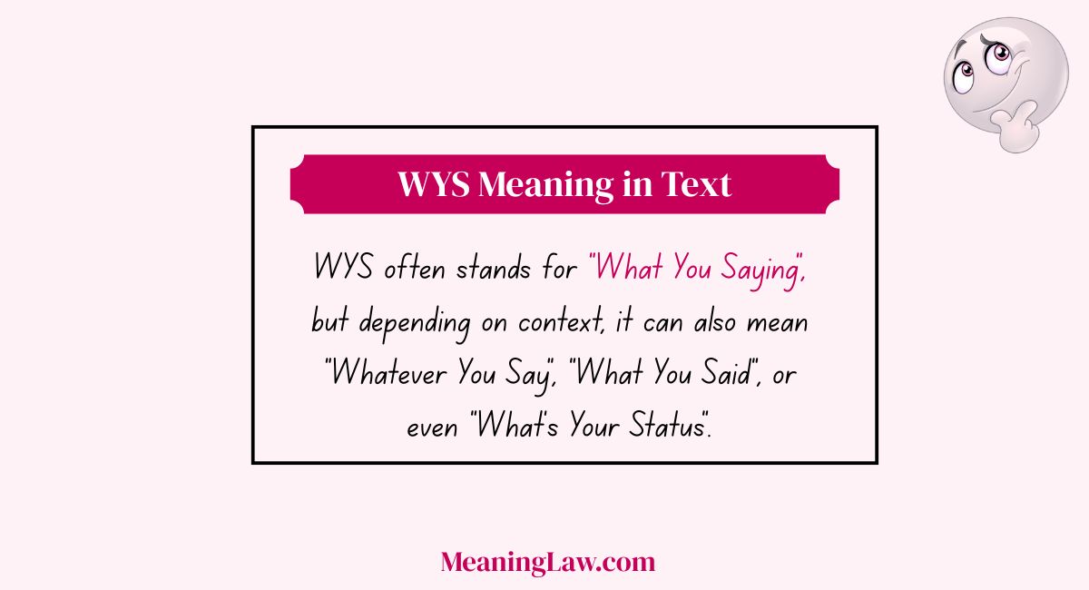 WYS Meaning in Text