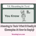 YK Meaning in Text