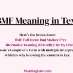 BMF Meaning in Text