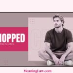 CHOPPED MEANING SLANG