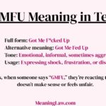 GMFU Meaning in Text