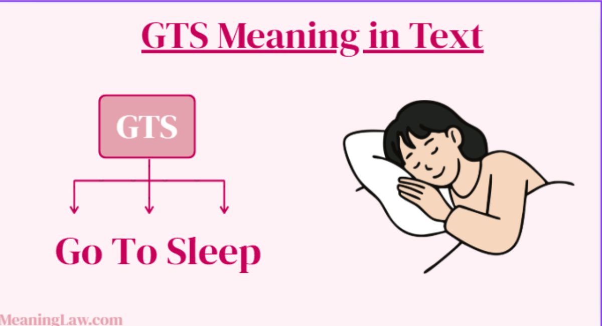 GTS Meaning in Text