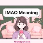 IMAO Meaning in Text