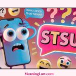 STSU Meaning in Text