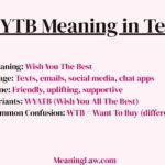 WYTB Meaning in Text