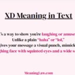 XD Meaning in Text